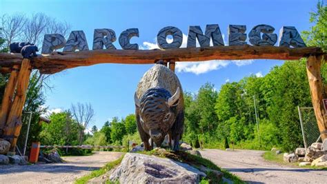 parc omega ticket price|parc omega prices.